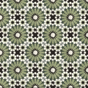 RegalDaisy