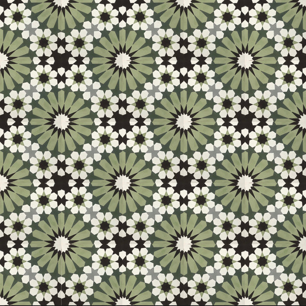 RegalDaisy